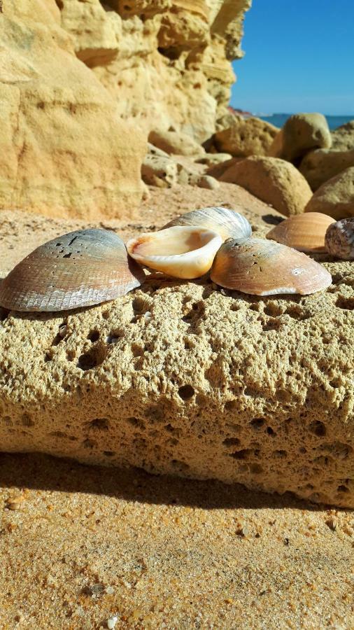 Olhos Do Mar Albufeira Διαμέρισμα Εξωτερικό φωτογραφία